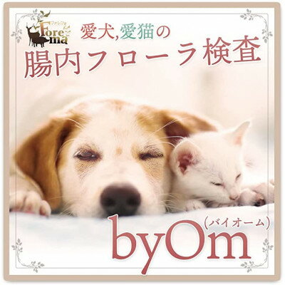 【ふるさと納税】愛犬/愛猫の腸内フローラ解析「byOm(バイオーム)」【1301545】