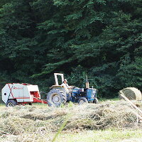 【ふるさと納税】【数量限定】広島産黒毛和牛「見浦牛」のモモ肉ブロック(315g)【1015982】