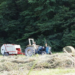 【ふるさと納税】【数量限定】広島産黒毛和牛「見浦牛」サーロインステーキ厚切り　厚さ2.5cm超(435g)【1024099】 画像2