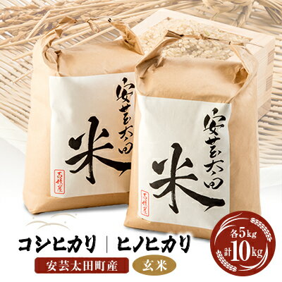 10位! 口コミ数「0件」評価「0」【令和5年産】コシヒカリ・ヒノヒカリ玄米食べ比べセット　計10kg【1282311】