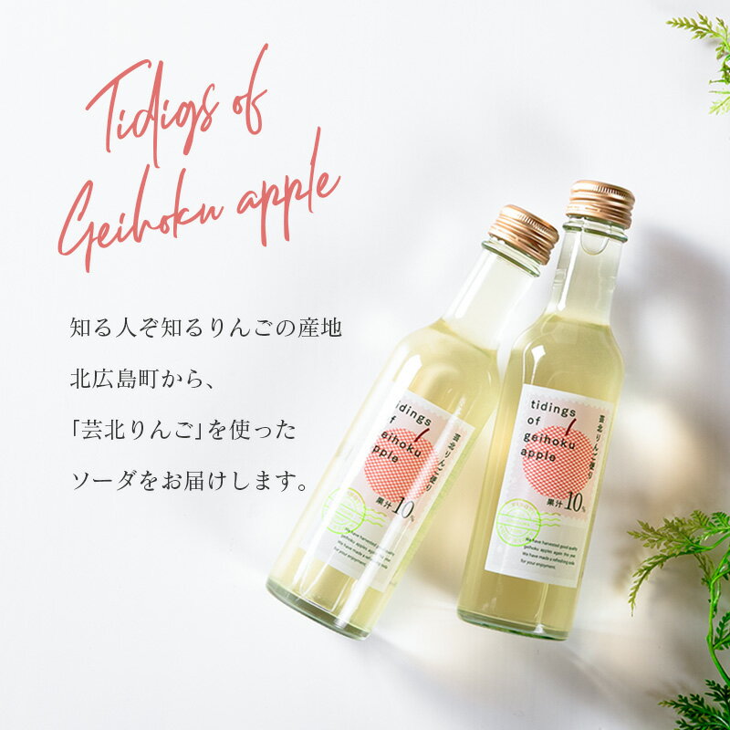 【ふるさと納税】りんごソーダ 芸北りんご便り 炭酸ジュース