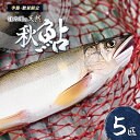 【ふるさと納税】鮎 アユ 天然 冷凍 5匹 秋あゆ 落ち鮎 広島 江の川の天然鮎 簗漁鮎 季節限定 9月発送