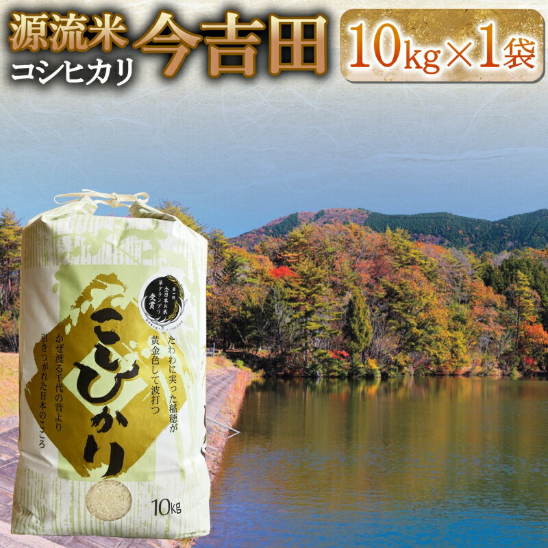 楽天市場】コシヒカリ 10kg 広島の通販 楽天市場】コシヒカリ 10kg 広島の通販
