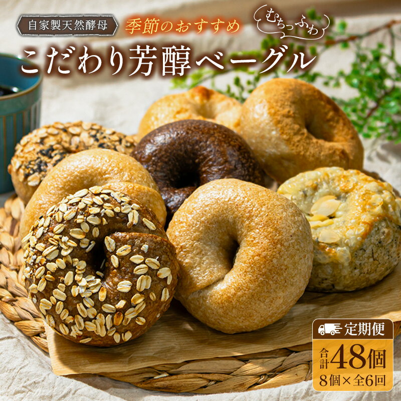 【ふるさと納税】『定期便』全6回 ベーグル 8個 毎月届く定期便 Liand bagel (リアンドベーグル) 自家製天然酵母 季節のベーグル8個セット