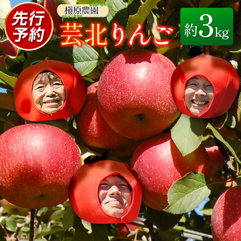 りんご 国産 3kg 農家直送 槇原農園 芸北りんご 林檎 トキ 早生ふじ 千秋 シナノドルチェ シナノスイート ぐんま名月 シナノゴールド ふじ