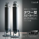 【ふるさと納税】オーディオ スピーカー アンプ セット Egretta エグレッタ TS1000 無指向性バスレフ・タワー型スピーカー オオアサ電子 全方位 無...