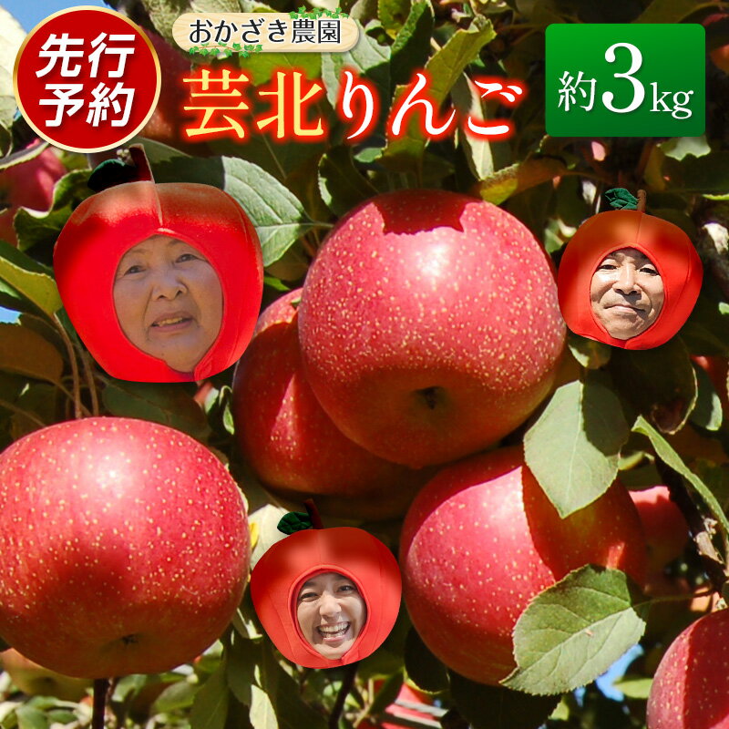 りんご 国産 3kg 農家直送 おかざき農園 芸北りんご 林檎 秋映 陽光 ぐんま名月 あいかの香り ふじ