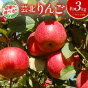 【ふるさと納税】りんご 3kg 品種が選べる 国産 農家直送 芸北りんご 林檎 つがる 秋映 シナノスイート ぐんま名月 シナノゴールド ふじ