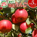 【ふるさと納税】りんご 訳あり 5kg 品種が選べる 国産 農家直送 芸北りんご 林檎 つがる 秋映 シナノスイート ぐんま名月 シナノゴールド ふじ