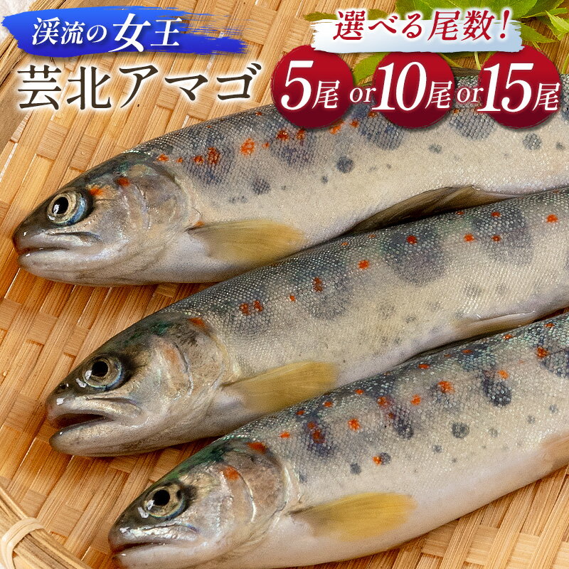 「渓流の女王」芸北アマゴ 5尾セット