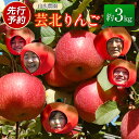 【ふるさと納税】りんご 国産 3kg 農家直送 山広農園 芸北りんご 林檎 秋映 シナノスイート 陽光 ぐんま名月 王林 シナノゴールド ふじ
