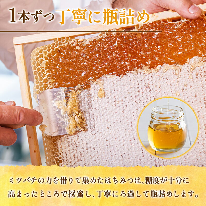 【ふるさと納税】広島アンデルセン　アンデルセンファームのはちみつ（300g×2本セット）