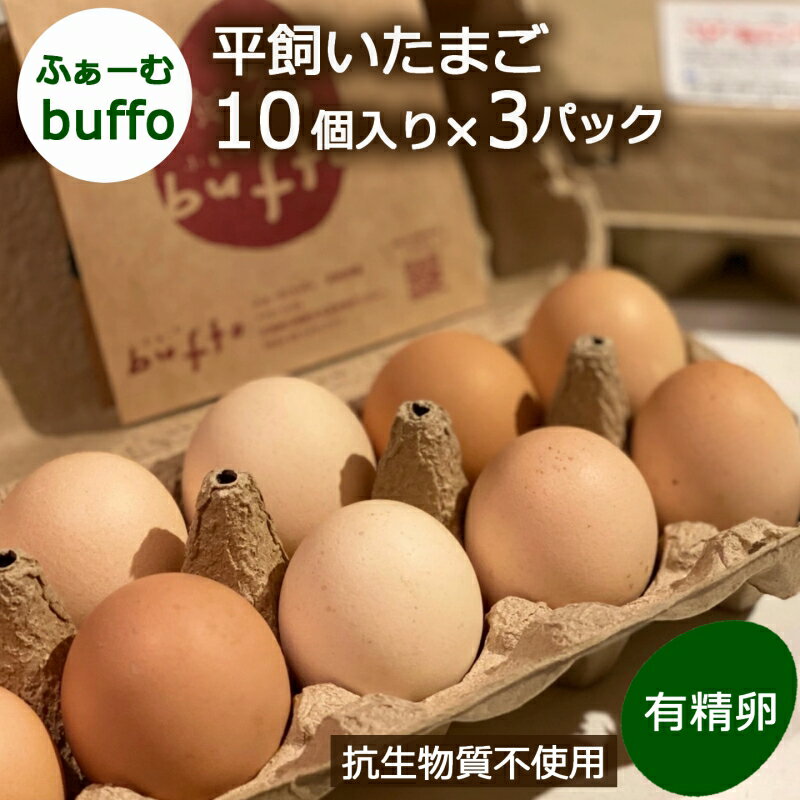 【ふるさと納税】ふぁーむbuffoの平飼いたまご 30個