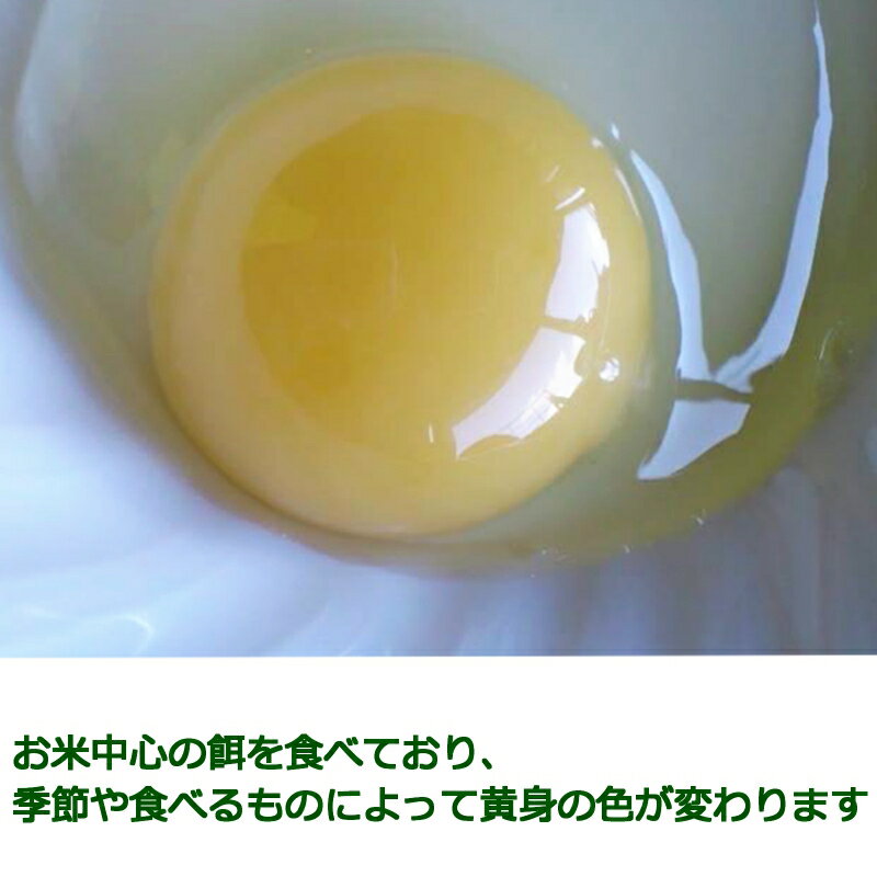 【ふるさと納税】『定期便』全3回 卵 平飼い 30個 ふぁーむbuffo 毎月届く定期便