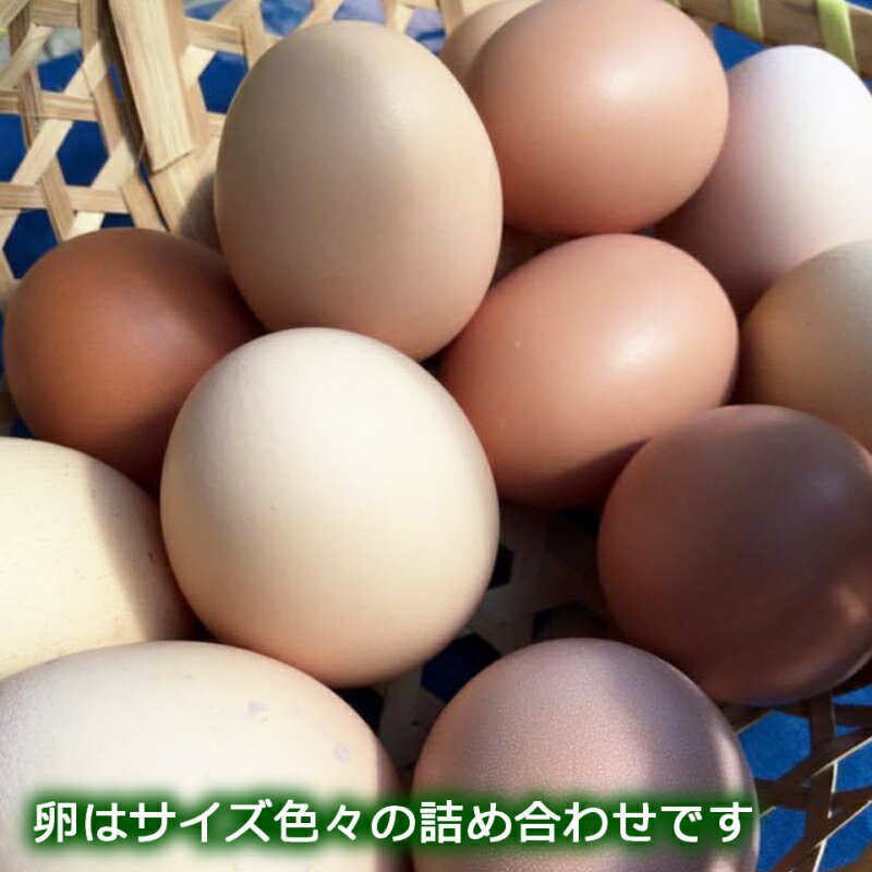 【ふるさと納税】『定期便』全3回 卵 平飼い 30個 ふぁーむbuffo 毎月届く定期便