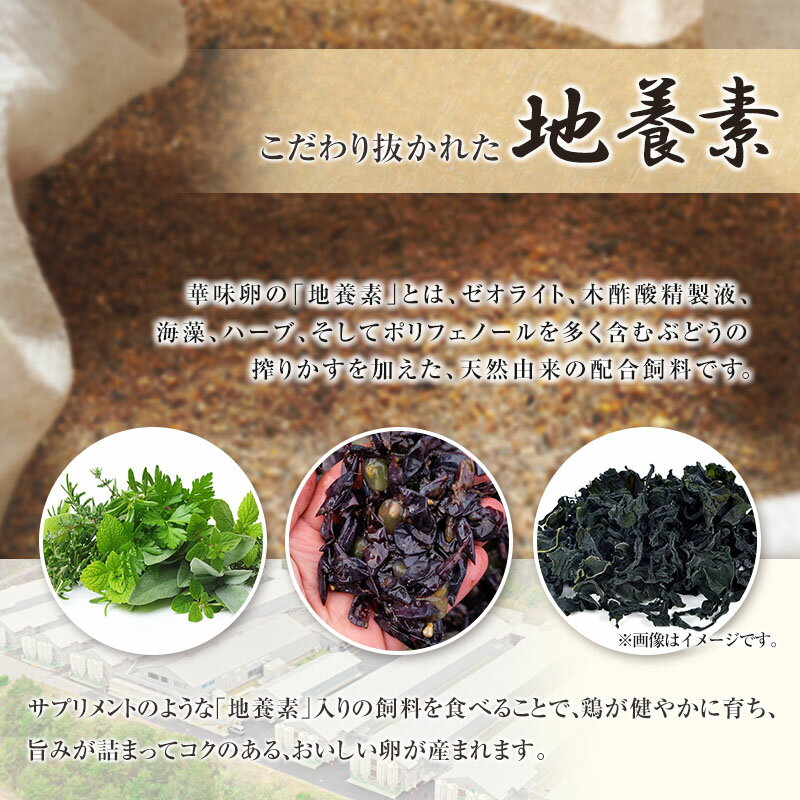 【ふるさと納税】卵 ちよだファームのたまご 華味卵 はなみらん 60個（50個＋割れ補償10個）