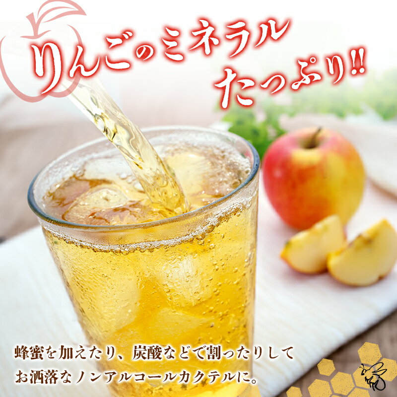 【ふるさと納税】熟成りんご酢100ml×1本