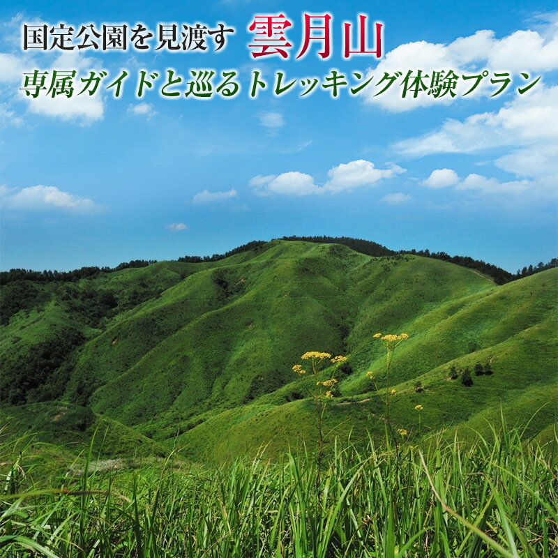 3位! 口コミ数「0件」評価「0」国定公園を見渡す『雲月山』専属ガイドと巡るトレッキング体験プラン