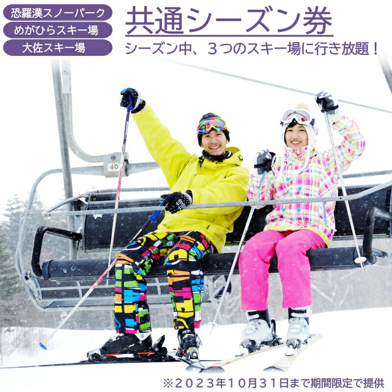 【ふるさと納税】《期間限定》【恐羅漢スノーパーク・めがひらスキー場・芸北高原大佐スキー場】共通シーズン券 2023-2024（大人全日）1枚のサムネイル