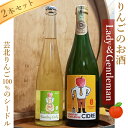 【ふるさと納税】ホッコーワイナリー カントリー・ジェントルマン&レディー シードル2本セット