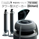 【ふるさと納税】オオアサ電子　Egretta(エグレッタ)無指向性バスレフ・タワー型スピーカー TS1000
