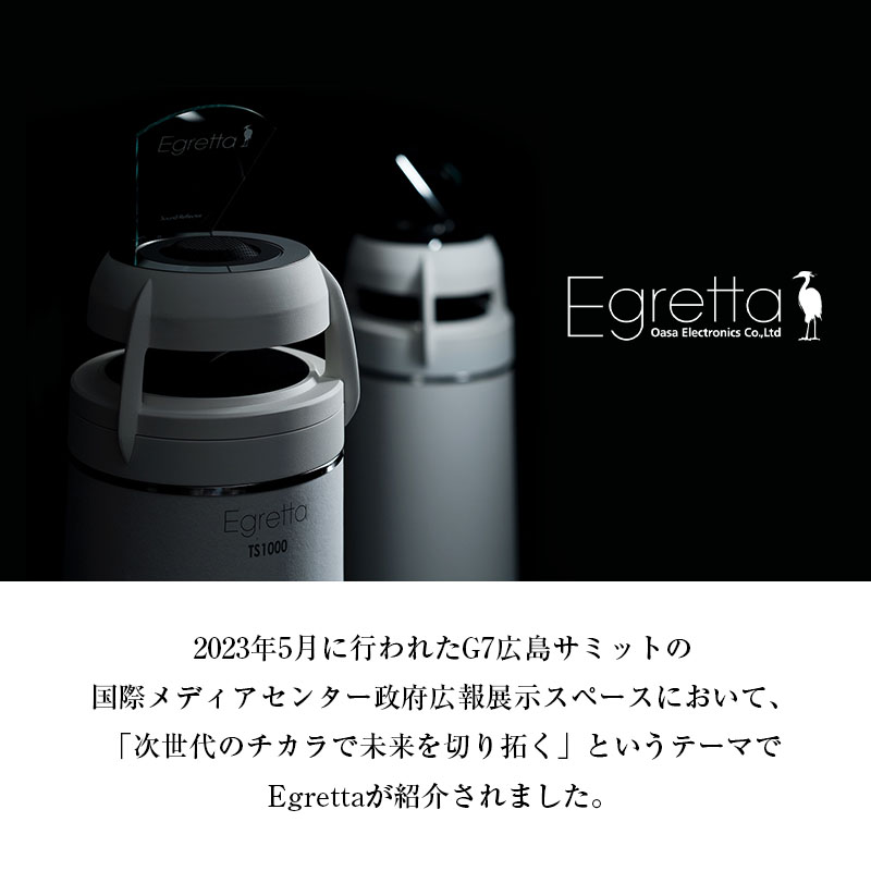 【ふるさと納税】オオアサ電子　Egretta(エグレッタ)無指向性バスレフ・タワー型スピーカー TS1000