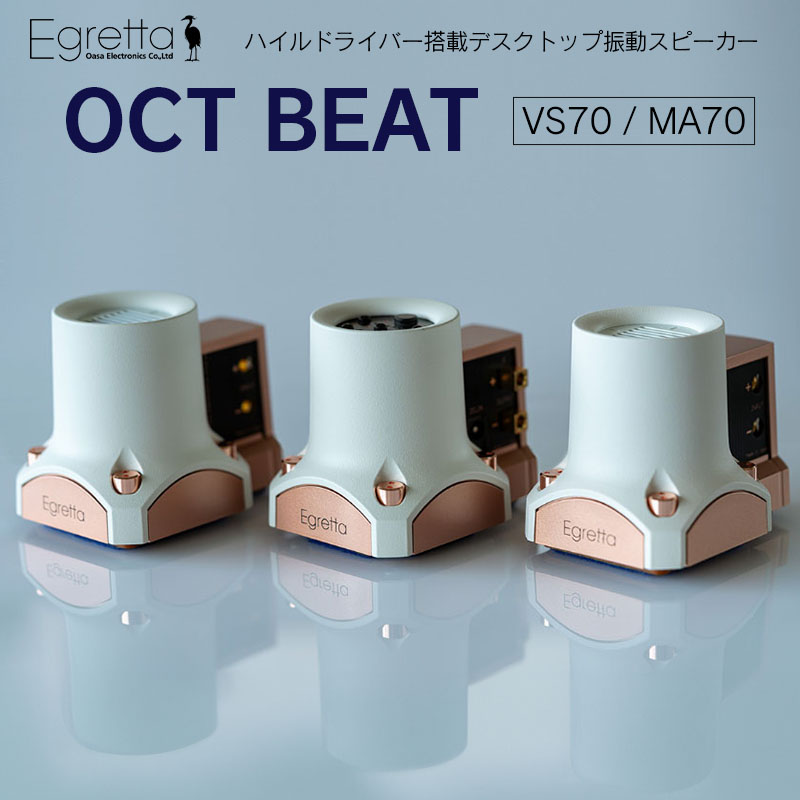 ڤդ뤵Ǽǡۥԡ ǥȥå Ķ ǥ Egretta ϥɥ饤Сܥǥȥå׿ưԡ OCT BEA...