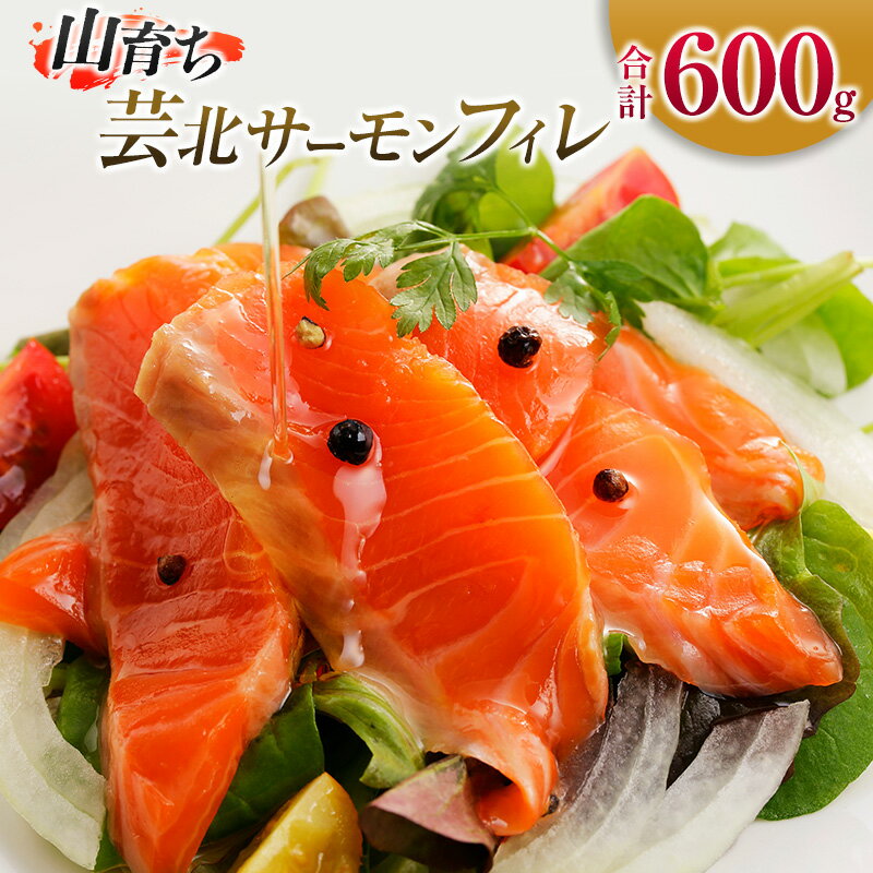 サーモン 山育ち 芸北サーモン フィレ(約600g)