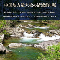 【ふるさと納税】大暮養魚場　釣り堀釣り放題1時間チケット（アマゴ10匹付き） 画像1