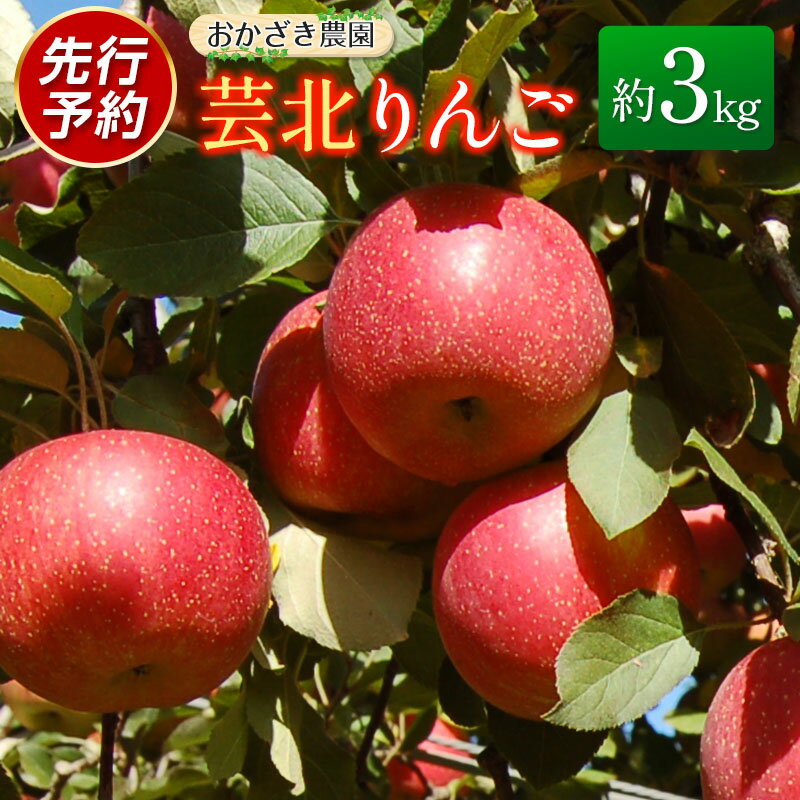 りんご 国産 3kg 農家直送 おかざき農園 芸北りんご 林檎 秋映 陽光 ぐんま名月 あいかの香り ふじ