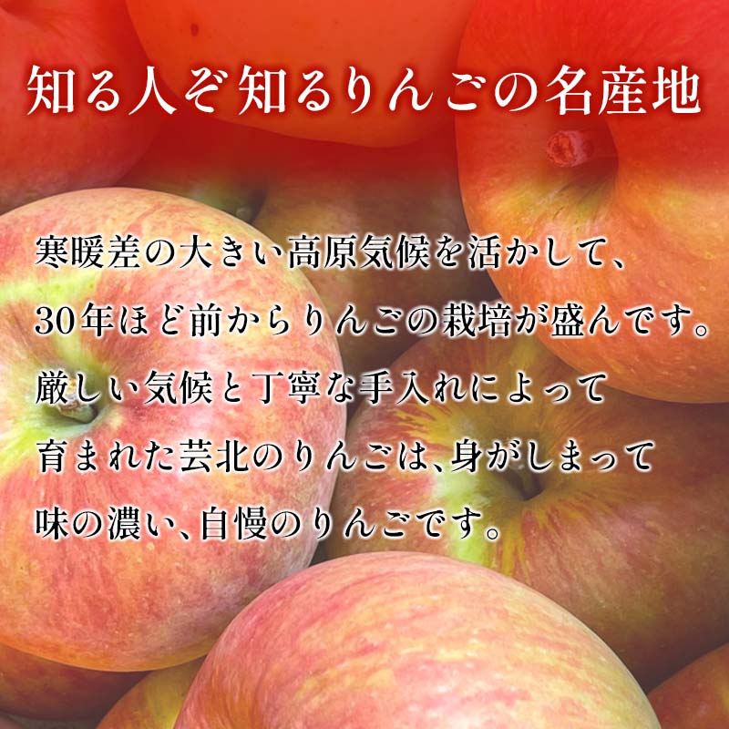 【ふるさと納税】りんご 国産 3kg 農家直送 おかざき農園 芸北りんご 林檎 秋映 陽光 ぐんま名月 あいかの香り ふじ