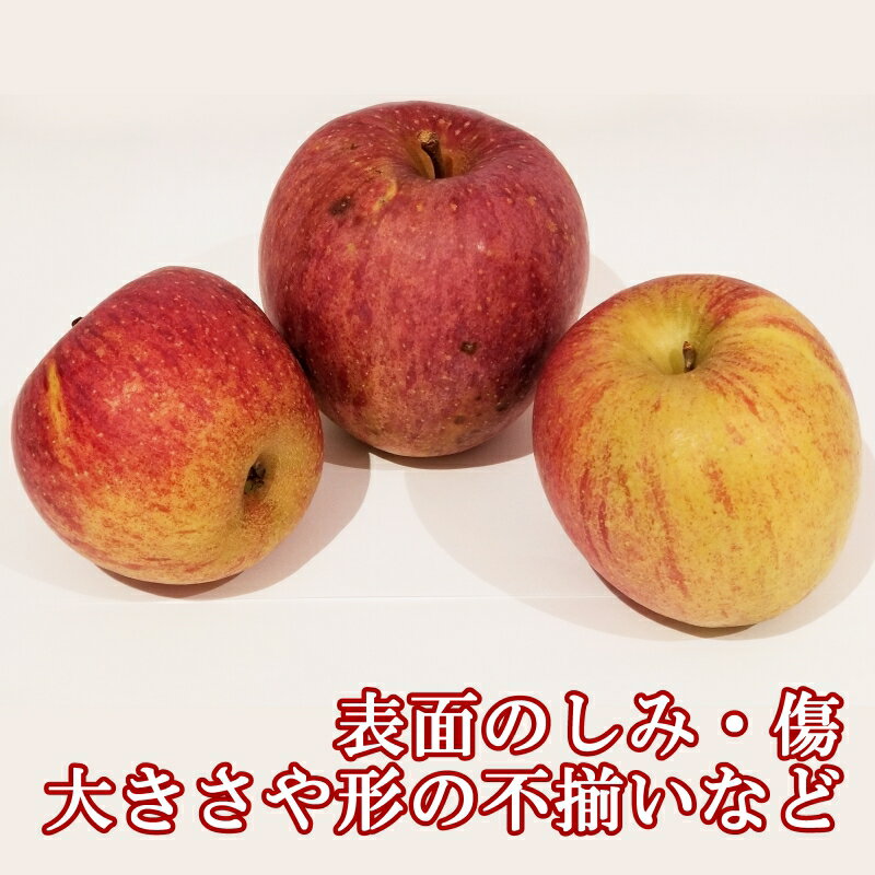 【ふるさと納税】≪10月中旬以降発送≫ りんご 訳あり ご家庭用 5kg おかざき農園の芸北りんご 農家直送 秋ばえ 陽光 ぐんま名月 あいかの香り ふじ