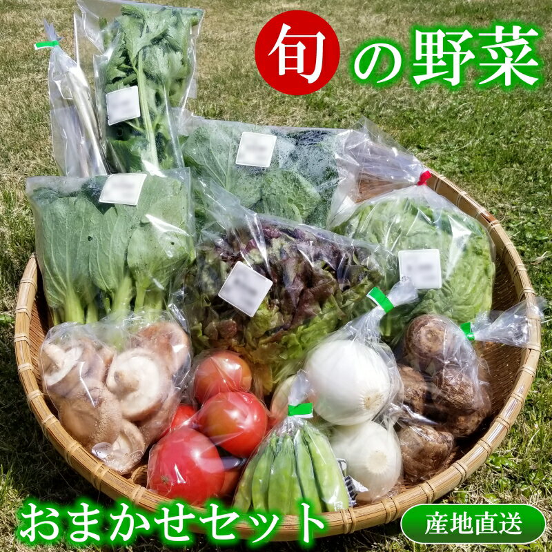 旬の野菜おまかせセット