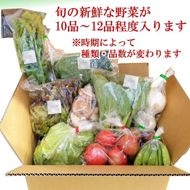 【ふるさと納税】旬の野菜おまかせセット