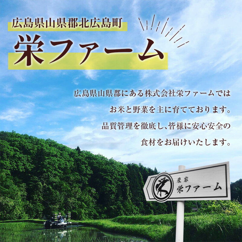 【ふるさと納税】《季節限定》栄ファーム自慢のスイートコーン（10本）