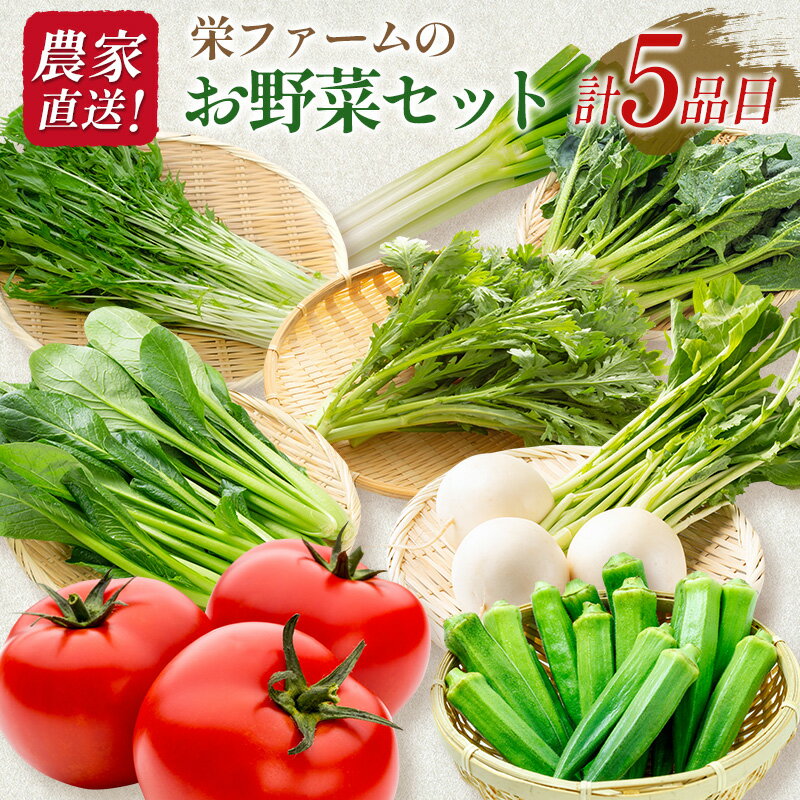 5位! 口コミ数「0件」評価「0」農家直送！栄ファームのお野菜セット