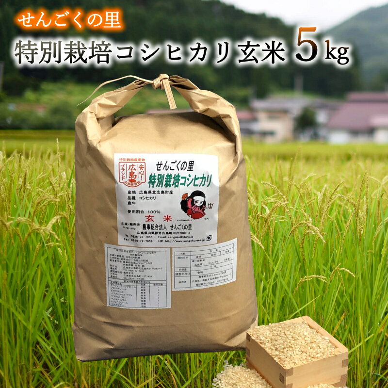 令和5年産 特別栽培 せんごくコシヒカリ 玄米5kg