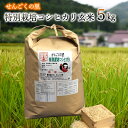 1位! 口コミ数「0件」評価「0」令和5年産　特別栽培　せんごくコシヒカリ　玄米5kg