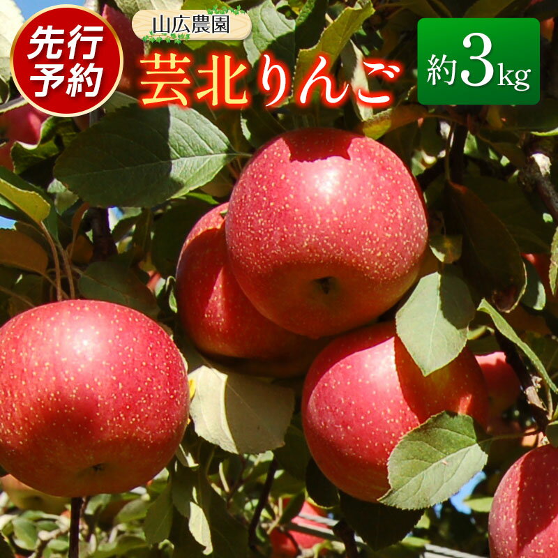 【ふるさと納税】りんご 国産 3kg 農家直送 山広農園 芸