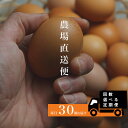 【ふるさと納税】『定期便』四ツ葉農場の霜降りたまご「きみがスター」30個 全12回