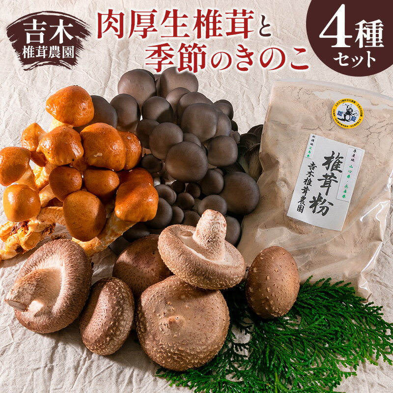 吉木椎茸農園 肉厚生椎茸と季節のきのこセット