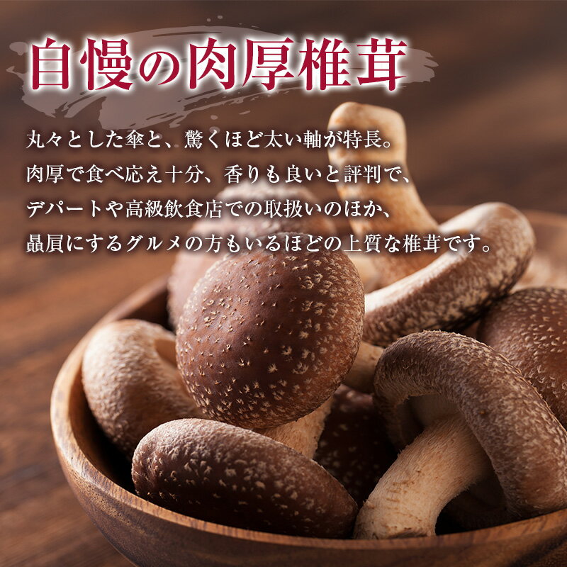 【ふるさと納税】吉木椎茸農園　肉厚生椎茸と季節のきのこセット