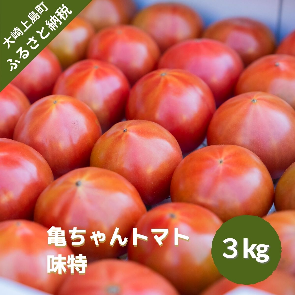 1~7月発送予定 亀田農園 亀ちゃんトマト 味特 約3kg 広島県 大崎上島町 瀬戸内 離島 国産 高糖度 ギフト 送料無料 産地直送