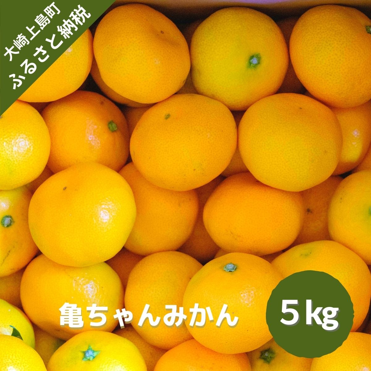 11~2月発送予定 亀田農園 亀ちゃんみかん 約5kg 広島県 大崎上島町 瀬戸内 離島 国産 濃厚 柑橘 果物 フルーツ ギフト 送料無料 産地直送