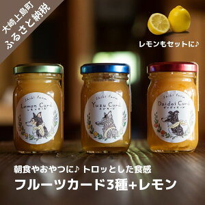 【ふるさと納税】Shiki Farm フルーツカード 80g 3種 レモン 3~5個 セット 詰め合...