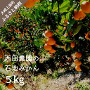 【ふるさと納税】12月頃発送予定 西田農園 石地みかん 約5kg 約50個前後 広島県 大崎上島町 瀬戸内 離島 国産 柑橘 ミカン みかん 甘い 送料無料 産地直送