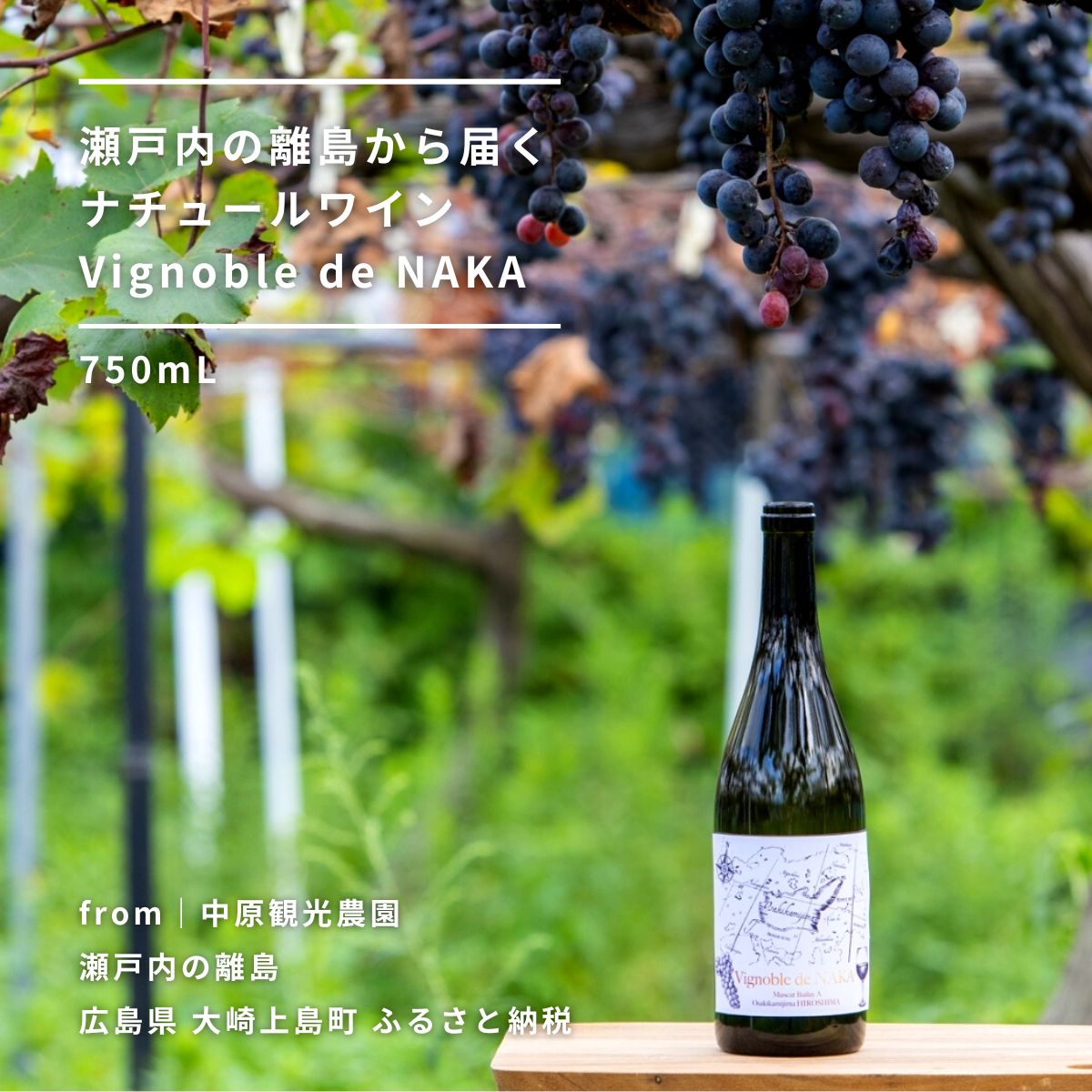 Vignoble de NAKA ワイン 750mL 赤ワイン 大崎上島産ぶどう100%使用 有機マスカット・ベーリーA ナチュールワイン テロワール 広島県 大崎上島町 瀬戸内 離島 果物 フルーツ ぶどう ギフト 送料無料 産地直送