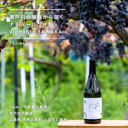 Vignoble de NAKA ワイン 750mL 赤ワイン 大崎上島産ぶどう100%使用 有機マスカット・ベーリーA ナチュールワイン テロワール 広島県 大崎上島町 瀬戸内 離島 果物 フルーツ ぶどう ギフト 送料無料 産地直送