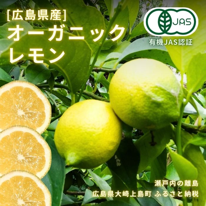 12~3月発送予定 中原観光農園 オーガニックレモン 約1kg 広島県 大崎上島町 瀬戸内 離島 国産 有機JAS認証 有機栽培 皮ごと 丸ごと 檸檬 果物 フルーツ ギフト 送料無料 産地直送