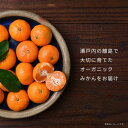 広島県大崎上島町の画像2